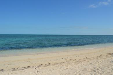 Sandee Old Bahama Beach Photo
