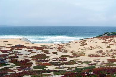 Sandee Monterey State Beach - Seaside Beach Photo