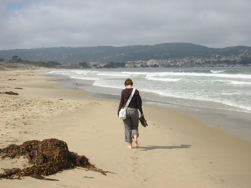 Sandee - Monterey State Beach - Roberts Beach