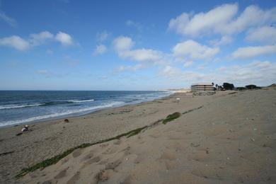 Sandee - Monterey State Beach - Roberts Beach