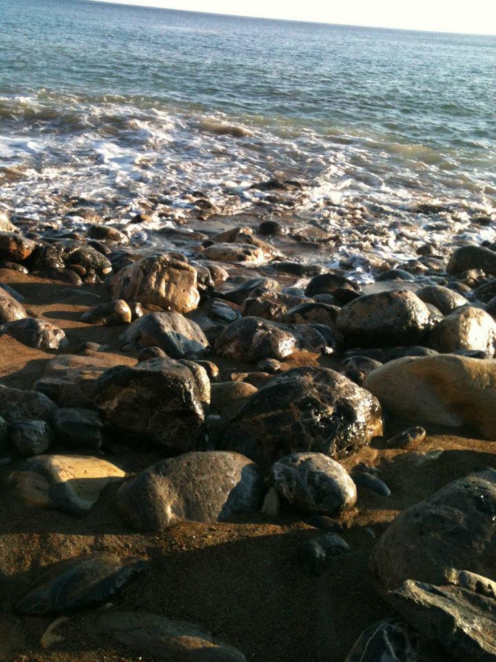 Sandee - Terranea Cove Beach