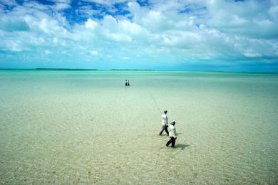 Sandee Mangrove Cay Beach Photo