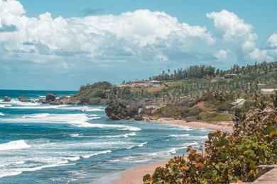 Sandee Best Beaches in Barbados