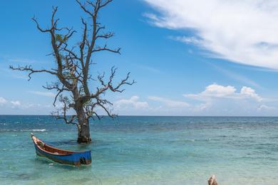 Sandee Best Beaches in Belize